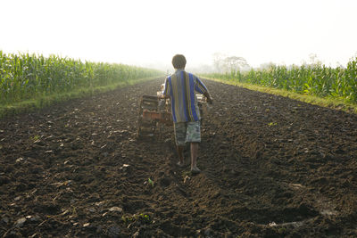 Rear view of man walking in field