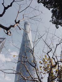 Low angle view of tree against clear sky