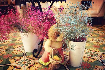 Close-up of colorful flowers for sale