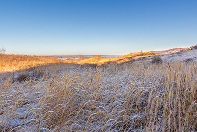 Scenic view of snowy field against clear sky during winter