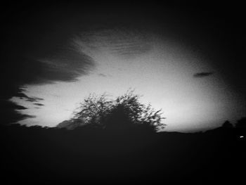 Low angle view of silhouette trees against sky