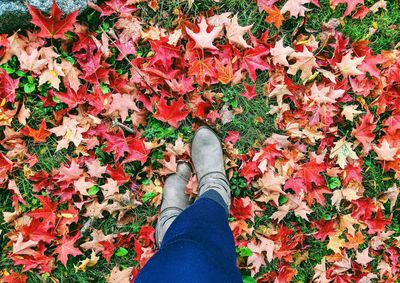 Low section of woman wearing shoes standing on autumn leaves