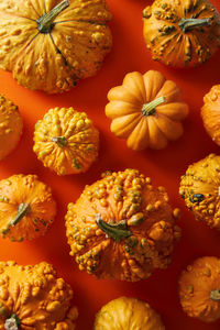High angle view of orange flowers