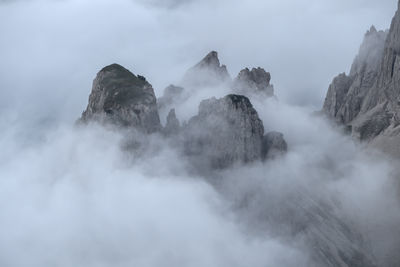 fog