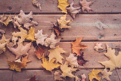 Close-up of autumn maple leaves on table