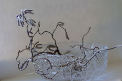 Close-up of text on glass table