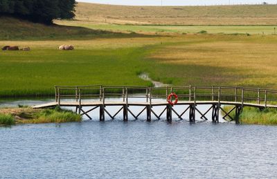 Footbridge over pond by grassy field