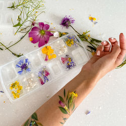 High angle view of hand holding flowering plant