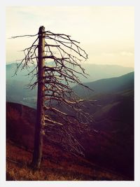 View of landscape against sky