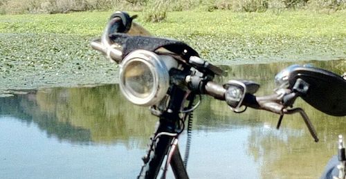 Close-up of reflection in puddle