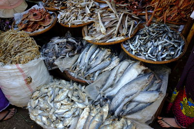 High angle view of fish for sale in market