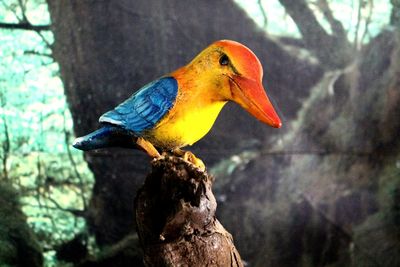 Close-up of bird perching on tree