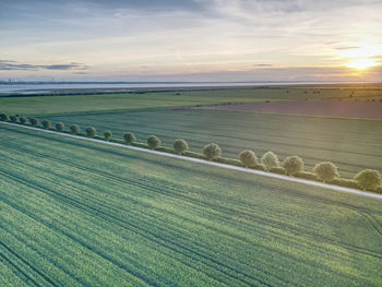 Scenic view of field against sky during sunset