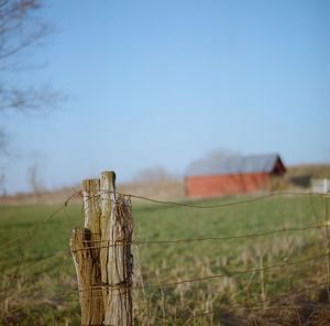 Tranquil scene of grassy field