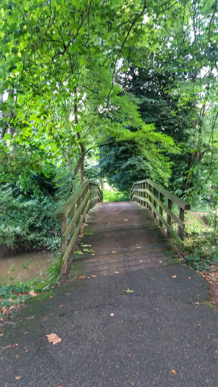 tree, the way forward, green color, tree trunk, growth, tranquil scene, narrow, tranquility, leaf, branch, long, diminishing perspective, walkway, green, nature, plant, day, treelined, outdoors, footpath, non-urban scene, pathway, solitude, scenics, empty road, beauty in nature, lush foliage, pedestrian walkway, park