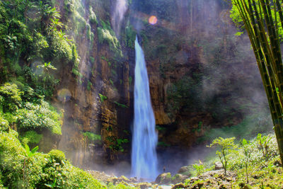 Scenic view of waterfall in forest