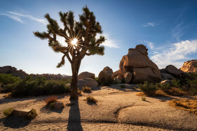 View of rock formations on landscape against sky