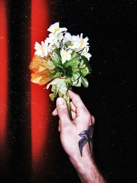 Close-up of hand holding flower bouquet against black background