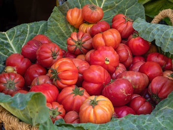 Full frame shot of tomatoes
