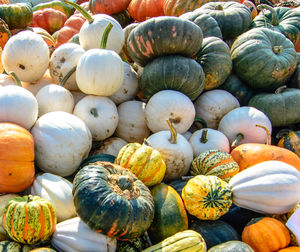 Full frame shot of pumpkins at market