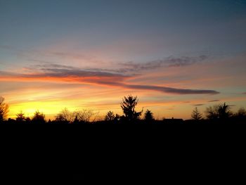 Silhouette of trees at sunset