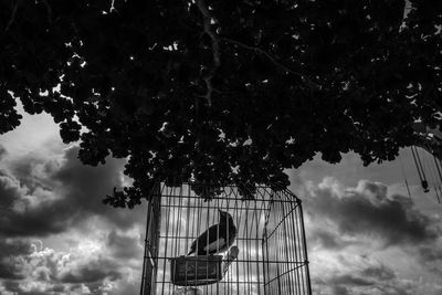 Low angle view of bird in cage against cloudy sky