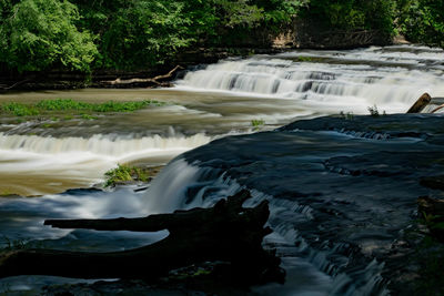 Scenic view of waterfall in forest