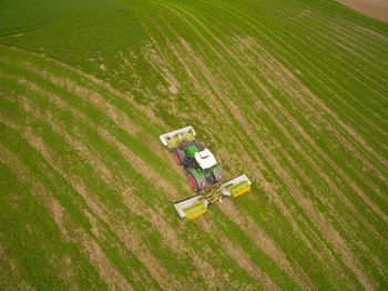 High angle view of agricultural field