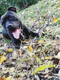 Close-up of sculpture