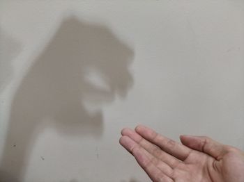Shadow of person hand on wall