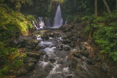 Scenic view of waterfall at forest