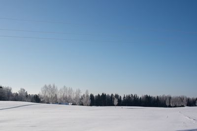 Trees on snow covered land against sky
