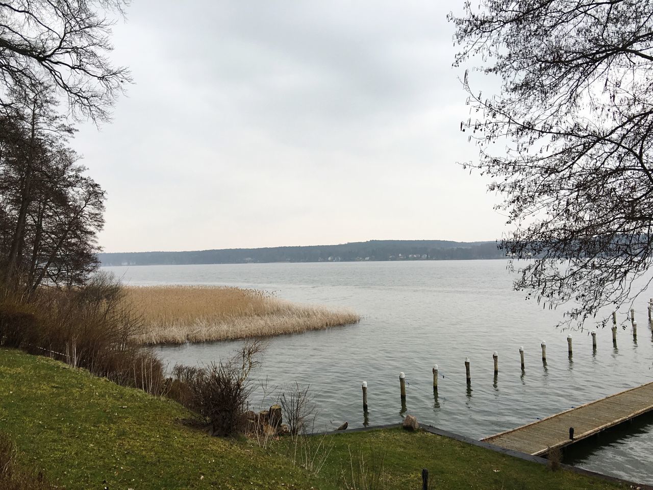 water, tranquil scene, tranquility, tree, sky, scenics, grass, beauty in nature, nature, lake, branch, idyllic, growth, river, lakeshore, bare tree, sea, day, landscape, outdoors