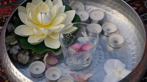 High angle view of white roses on table