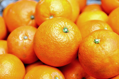 Close-up of orange fruits