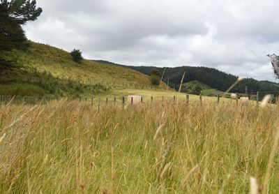 Scenic view of field against cloudy sky