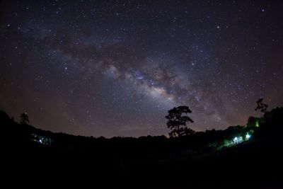 Low angle view of silhouette trees against sky at night