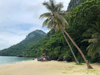 Scenic view of beach against sky