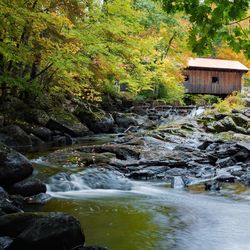 Stream flowing through rocks in forest