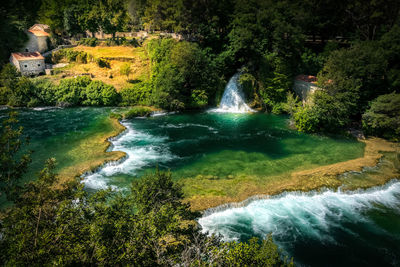 Scenic view of waterfall in forest