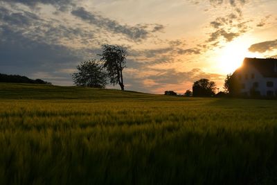 Scenic view of field against sky at sunset