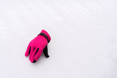 High angle view of pink petals on snow covered field