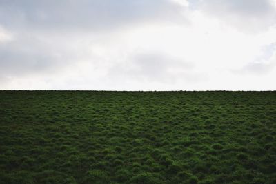 Scenic view of grassy field against cloudy sky