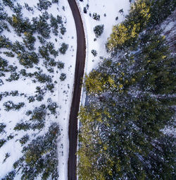 Low angle view of snow covered trees against sky