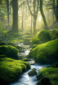 Scenic view of river amidst trees in forest