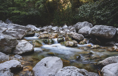 River flowing through rocks in forest