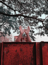 Low section of woman against red tree