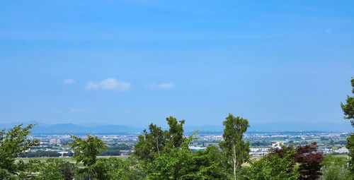 Scenic view of sea against blue sky