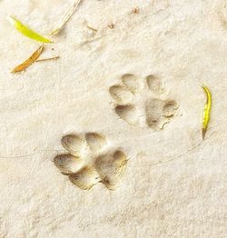 High angle view of footprints on sand at beach