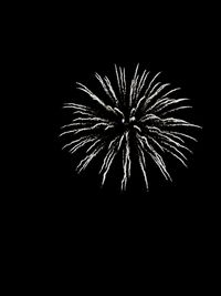 Low angle view of firework display